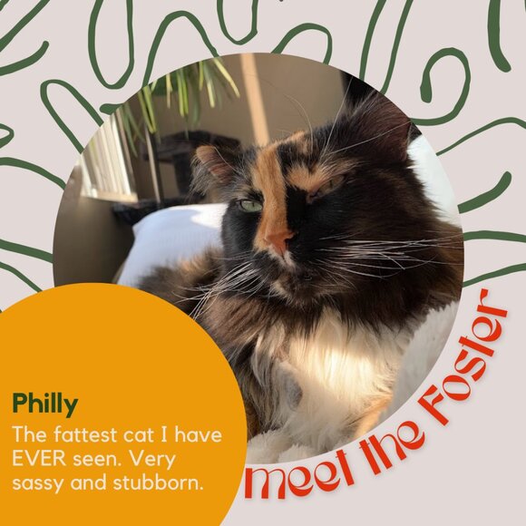 Meet the fosters! - Picture 7 of 15